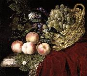 Still Life of Fruit Aelst, Willem van